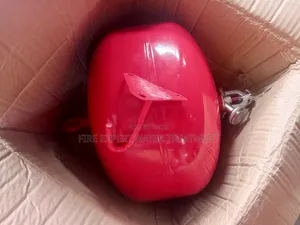 9kg Automatic Extinguisher