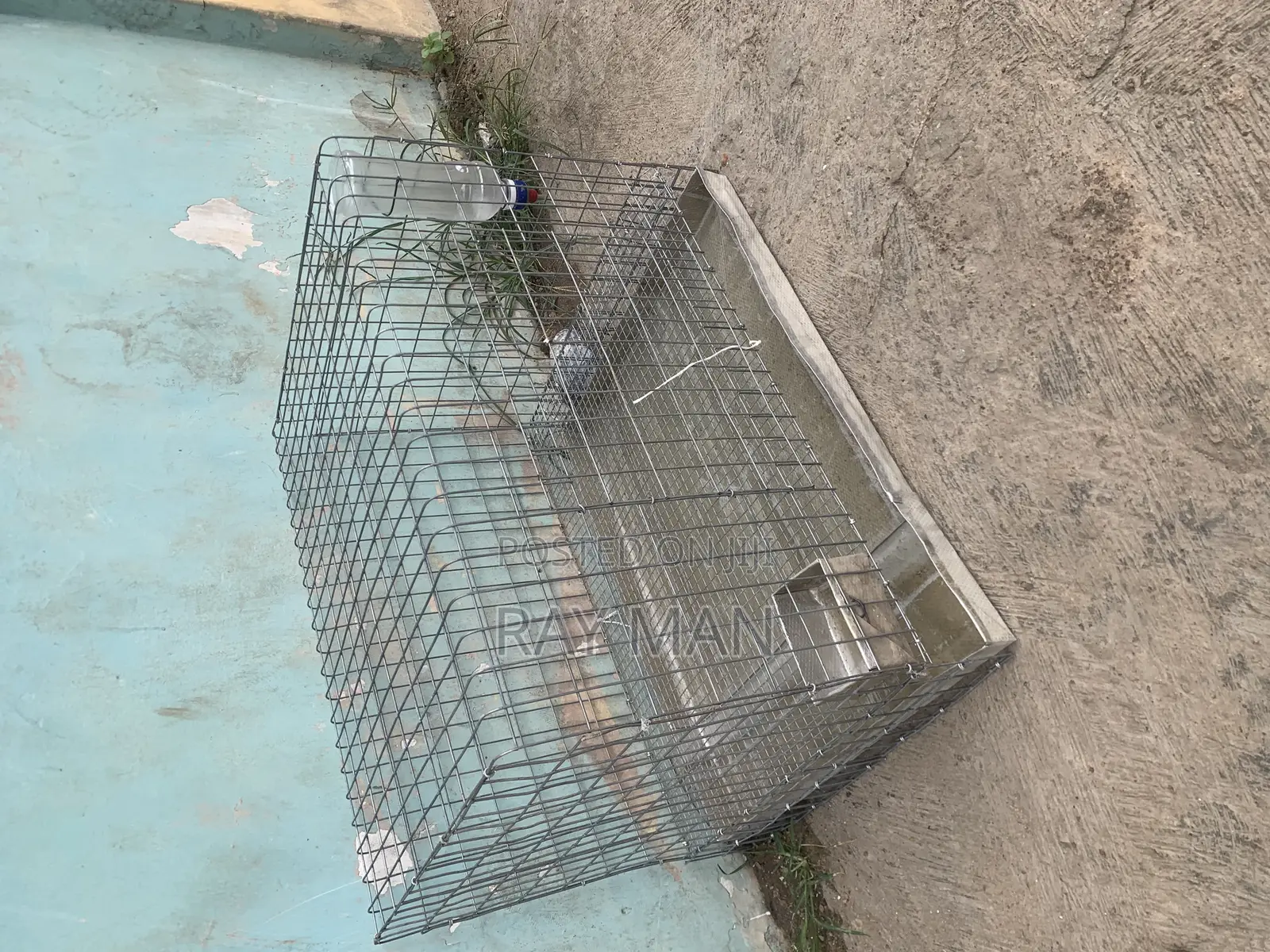 Cages For Pet Rabbits