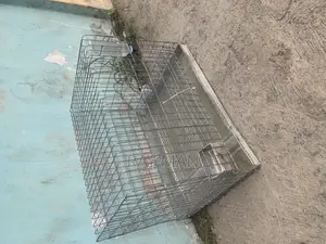 Cages For Pet Rabbits