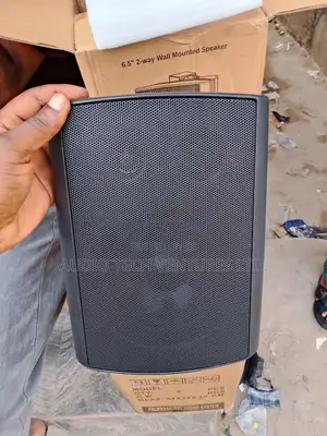 Wall Mounted Speaker Ws659-6.5