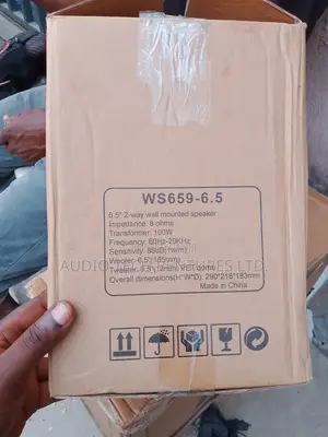 Wall Mounted Speaker Ws659-6.5