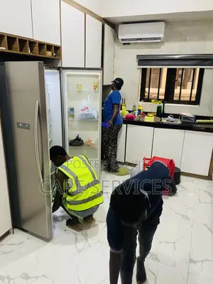 Premium Home Deep-Clean Service