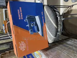 Two Lion Electric Steam Iron.