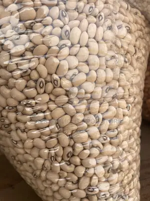 White and Red Beans
