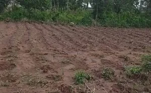 Dape Main: Plot 2261 for Sale: : Rofo Purpose: Residential Size: 8361