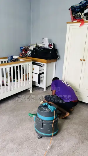 Carpet Rug Restoration Cleaning