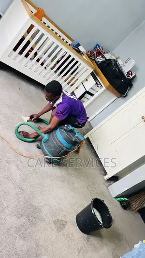 Carpet Rug Restoration Cleaning