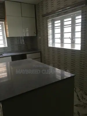 Full House Cleaning Service With Kitchen And Cabinets