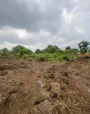 For Sale at Jahi Gilmor Area: Size: 8000sqm
: Residential 
Title Cofo