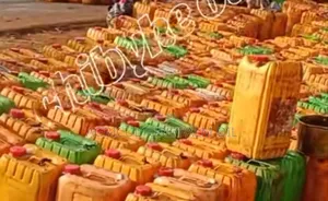 Agriculture/Palm Oil 🛢🪔 Business
