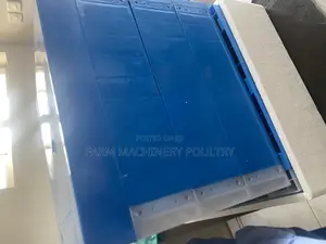 256 Capacity Egg Incubator