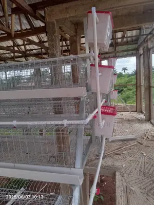 120capacity Layer Cage