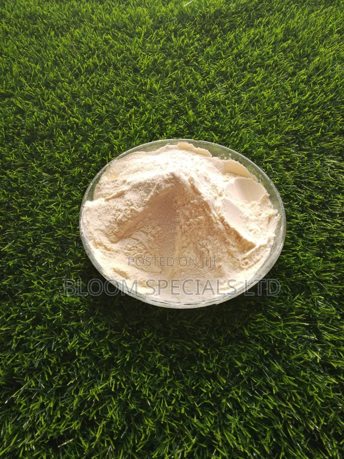 Passion Fruit Powder 1kg