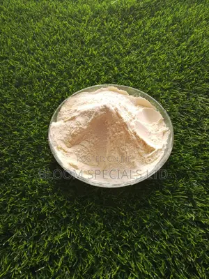 Passion Fruit Powder 1kg