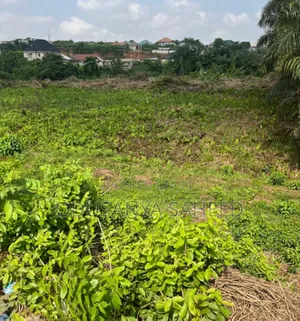 1 Plot of Land