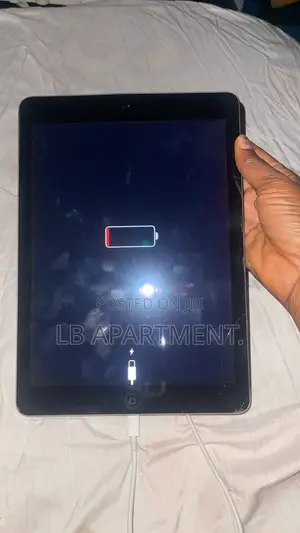 Apple iPad Air 2 64 GB Gray