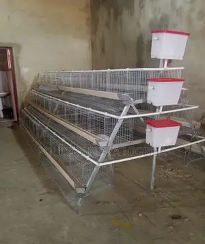 Battery Cages Hot Deep Galvanized