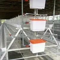Premium Imported Battery Cage for Layers
