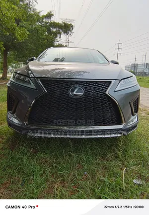 Lexus RX 350 2020 Gray