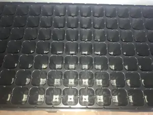 Seed Tray.