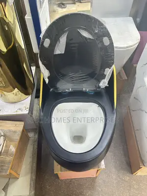 Tankless Water Closet Black