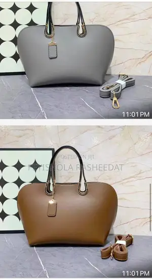 Elegant Outing Bags