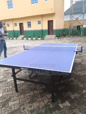 Indoor Table Tennis Board With Accessories Standard Indoor