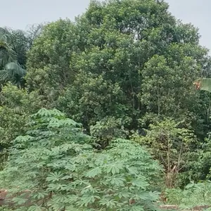 Secured and Classy Land Available for Sale