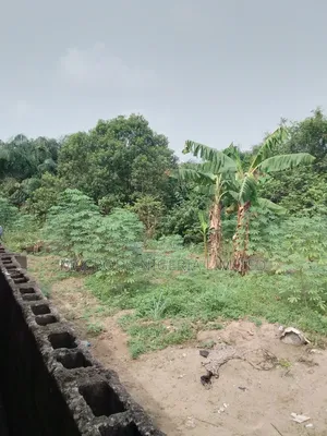 2800sqm Waterfront Land Available for Sale