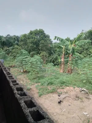2700sqm Land Available For Sale