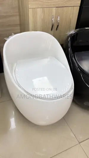 Egg Shaped Wc