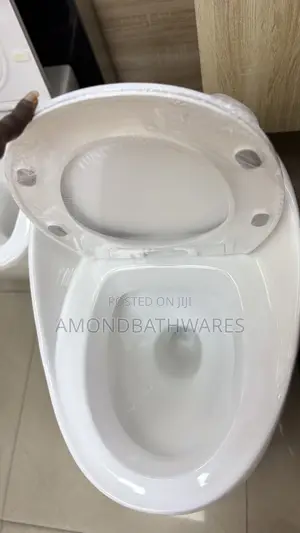 Egg Shaped Wc