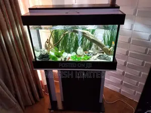 Aquarium + Stand