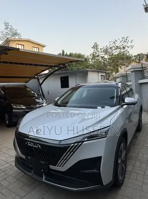 New Dongfeng EV EX1 2025 Silver