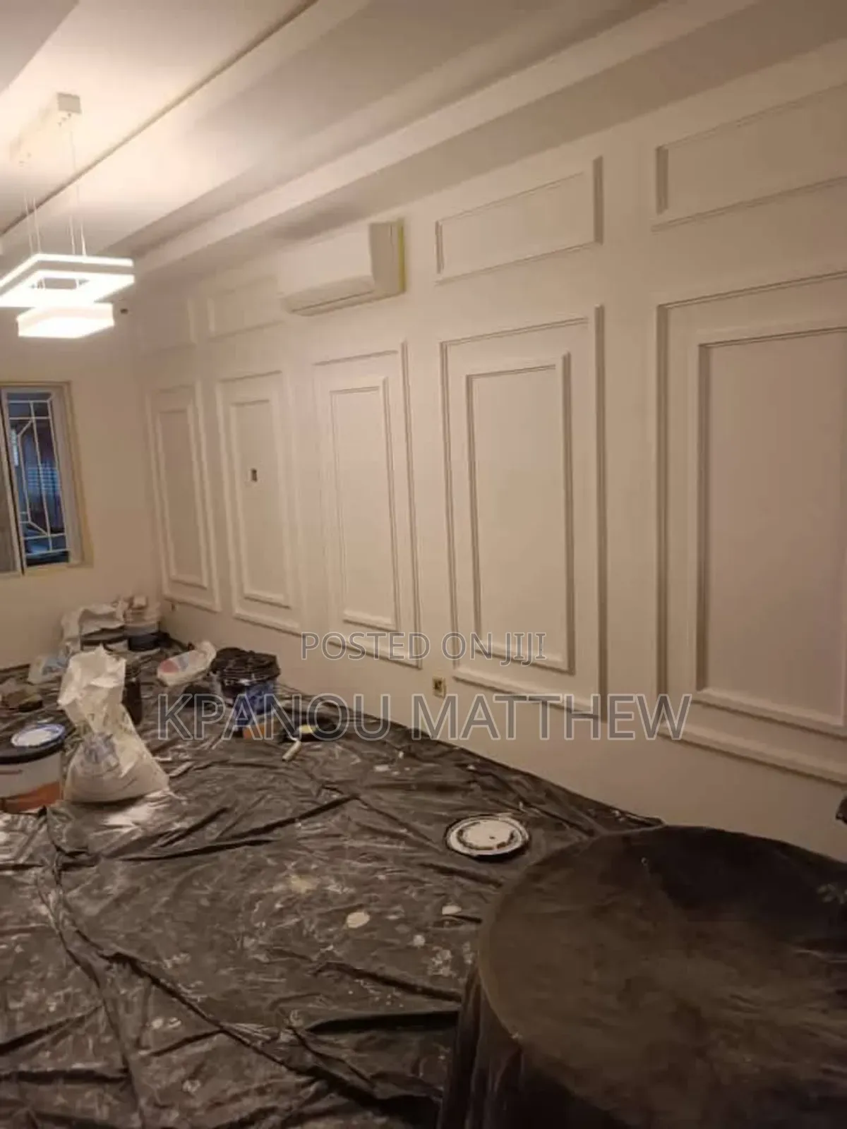 A Professional Painter.