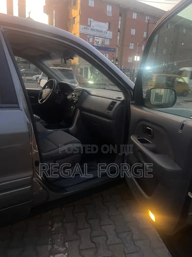 Honda Pilot 2009 Gray