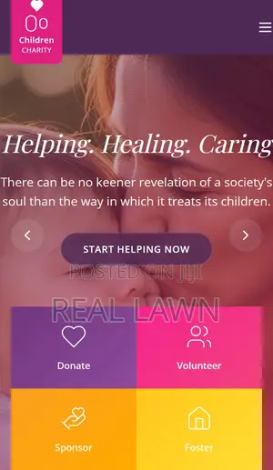 Ngo Website With Secure Online Donations