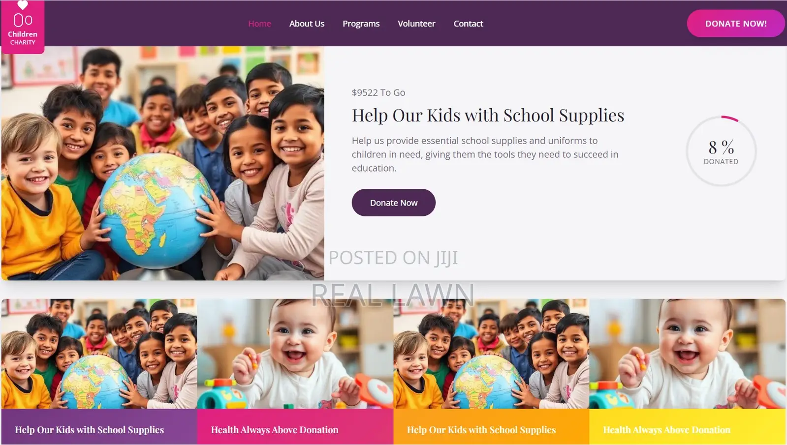 Ngo Website With Secure Online Donations