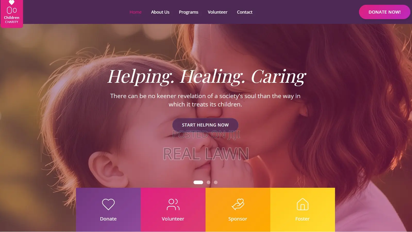 Ngo Website With Secure Online Donations