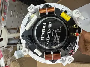 60w Tundra Ceiling Speakers