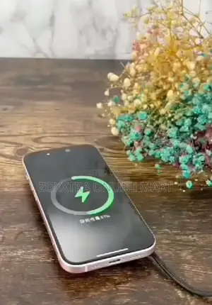SPV Wireless Charger