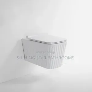 Executive White Conceal Toilet Set