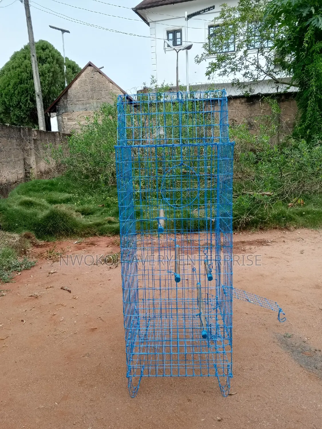Parrot Cage