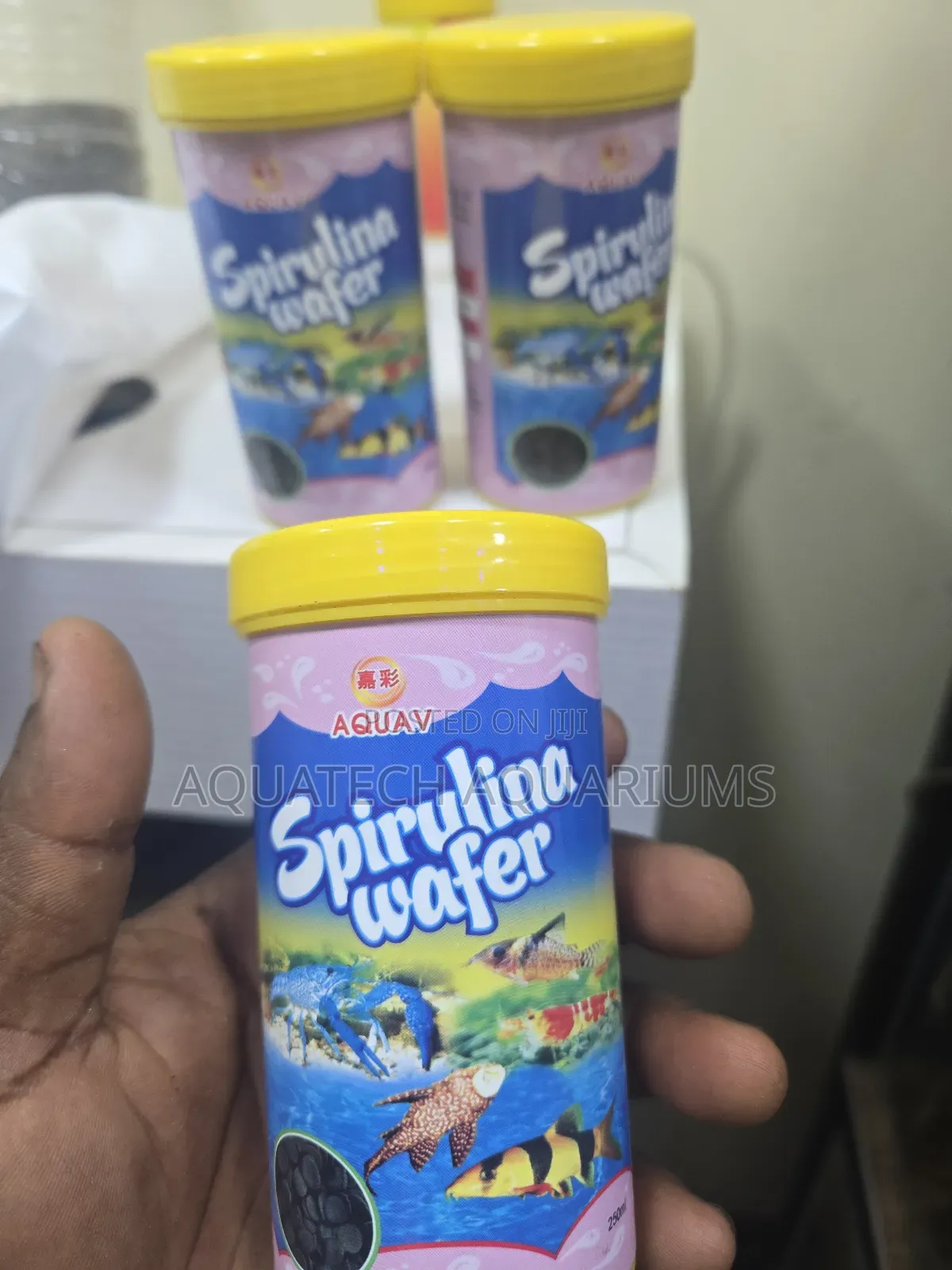 Feed for Cleaner Fish and Lobster