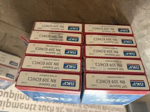 Rn309ecm Skf Bearing Available
