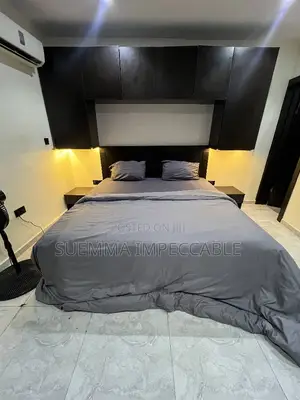 Furnished Studio Apartment in Adeola Odeku for rent