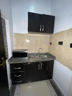 Furnished Studio Apartment for rent