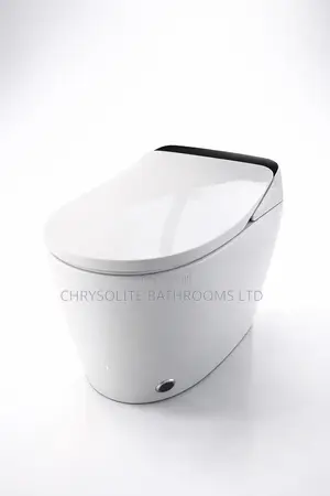 Sensor Water Closet