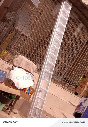 2*15 Heavy Duty Extension Aluminum Ladder