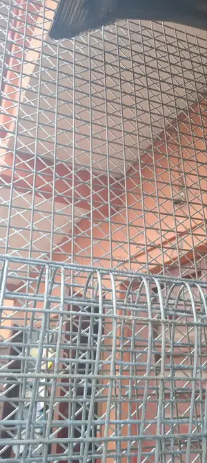 Galvanised Mesh